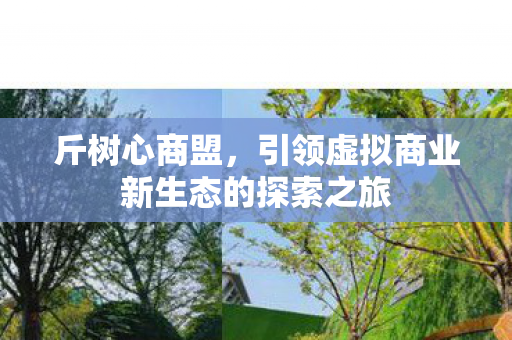 引领虚拟商业新生态的探索之旅图片