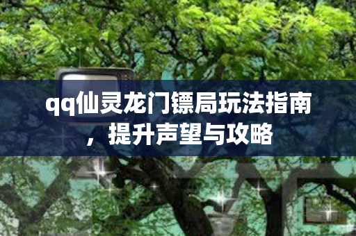 qq仙灵龙门镖局玩法指南图片