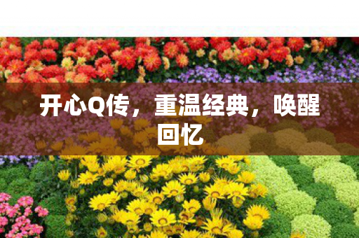 开心Q传,重温经典,唤醒回忆 开心Q传,重温经典,唤醒回忆