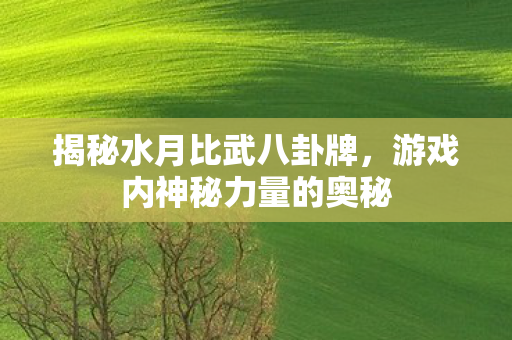 游戏内神秘力量的奥秘图片
