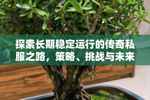 探索长期稳定运行的传奇私服之路图片