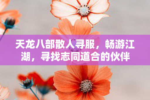 寻找志同道合的伙伴图片