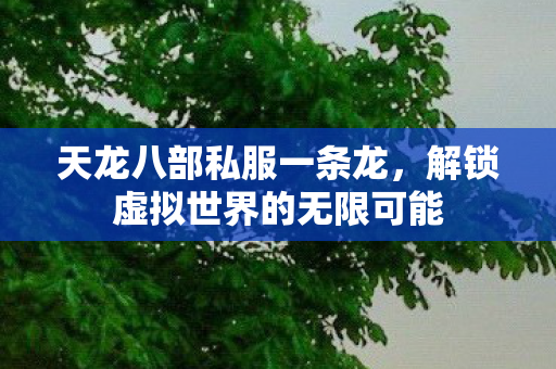 解锁虚拟世界的无限可能图片