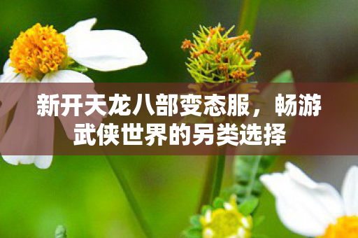 新开天龙八部变态服,畅游武侠世界的另类选择 新开天龙八部变态服,畅游武侠世界的另类选择