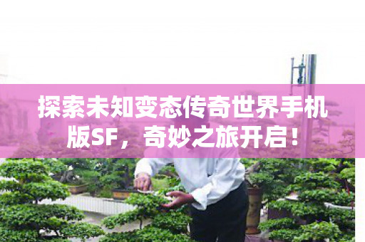 探索未知变态传奇世界手机版SF图片