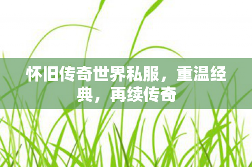 怀旧传奇世界私服图片