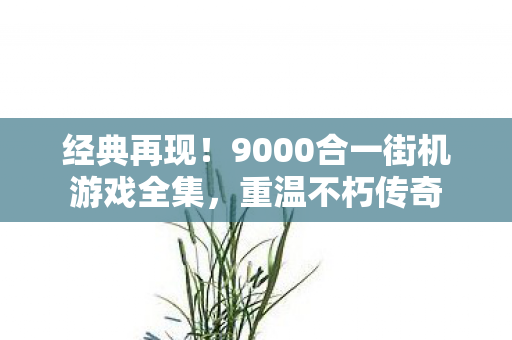 9000合一街机游戏全集图片