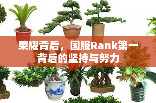 国服Rank第一背后的坚持与努力图片