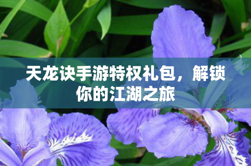 天龙诀手游特权礼包图片