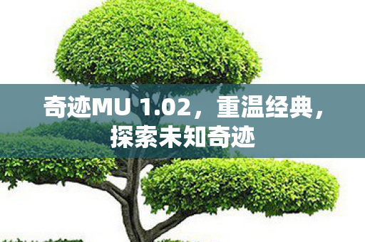 奇迹MU 1.02,重温经典,探索未知奇迹 奇迹MU 1.02,重温经典,探索未知奇迹