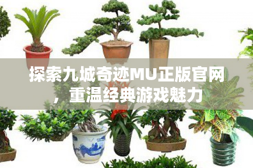 探索九城奇迹MU正版官网,重温经典游戏魅力 探索九城奇迹MU正版官网,重温经典游戏魅力