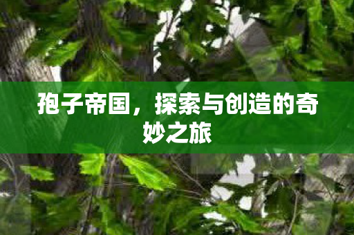 孢子帝国,探索与创造的奇妙之旅 孢子帝国,探索与创造的奇妙之旅