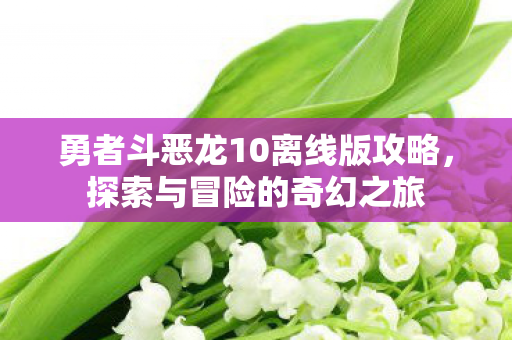 勇者斗恶龙10离线版攻略,探索与冒险的奇幻之旅 勇者斗恶龙10离线版攻略,探索与冒险的奇幻之旅