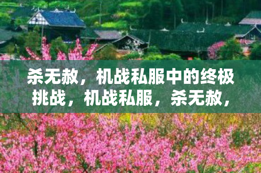 机战私服中的终极挑战图片