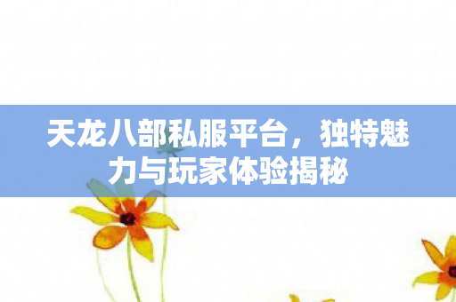 天龙八部私服平台，独特魅力与玩家体验揭秘