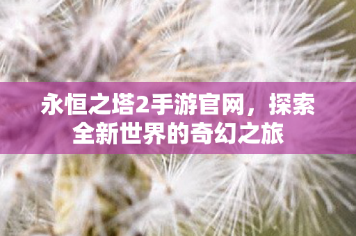 探索全新世界的奇幻之旅图片
