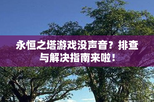 永恒之塔游戏没声音图片