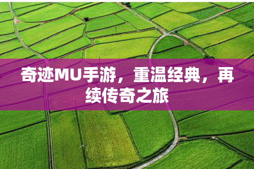 奇迹MU手游，重温经典，再续传奇之旅