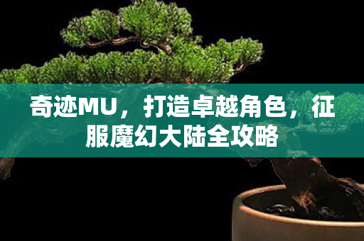 奇迹MU,打造卓越角色,征服魔幻大陆全攻略 奇迹MU,打造卓越角色,征服魔幻大陆全攻略