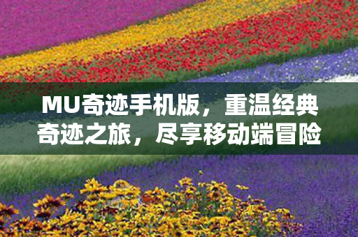 MU奇迹手机版,重温经典奇迹之旅,尽享移动端冒险 MU奇迹手机版,重温经典奇迹之旅,尽享移动端冒险