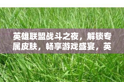 英雄联盟战斗之夜图片