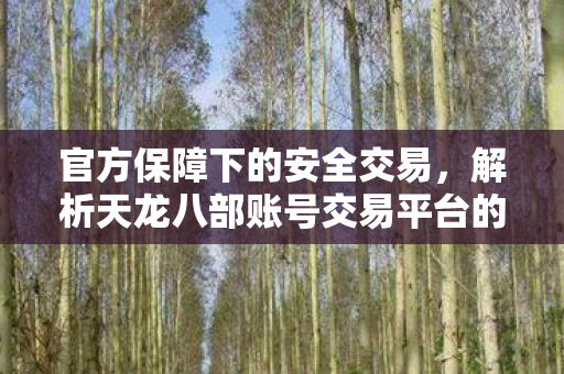 官方保障下的安全交易,解析天龙八部账号交易平台的便捷与高效 官方保障下的安全交易,解析天龙八部账号交易平台的便捷与高效