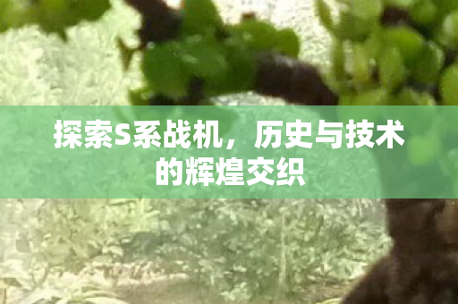 探索S系战机,历史与技术的辉煌交织 探索S系战机,历史与技术的辉煌交织