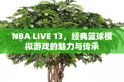 NBA LIVE 13,经典篮球模拟游戏的魅力与传承 NBA LIVE 13,经典篮球模拟游戏的魅力与传承