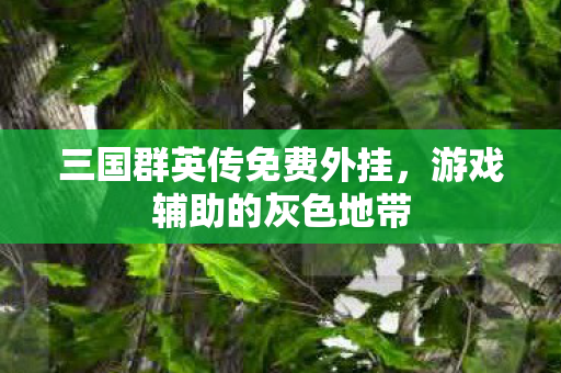 三国群英传免费外挂,游戏辅助的灰色地带 三国群英传免费外挂,游戏辅助的灰色地带