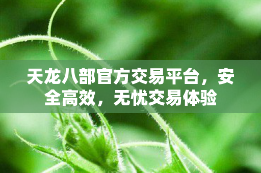 天龙八部官方交易平台，安全高效，无忧交易体验