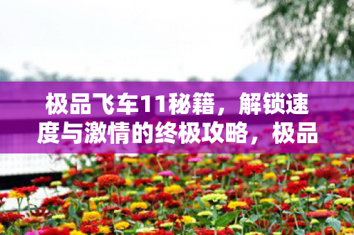 解锁速度与激情的终极攻略图片