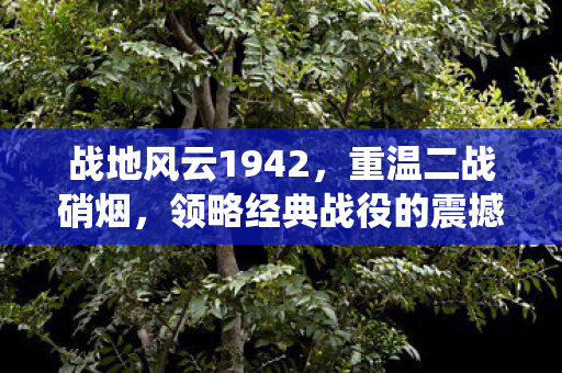 战地风云1942,重温二战硝烟,领略经典战役的震撼魅力 战地风云1942,重温二战硝烟,领略经典战役的震撼魅力