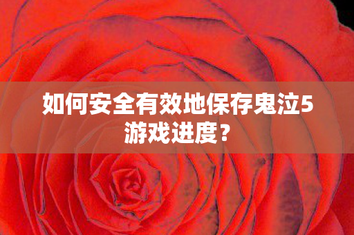 如何安全有效地保存鬼泣5游戏进度？