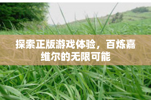探索正版游戏体验，百炼嘉维尔的无限可能