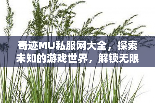 奇迹MU私服网大全,探索未知的游戏世界,解锁无限可能! 奇迹MU私服网大全,探索未知的游戏世界,解锁无限可能!