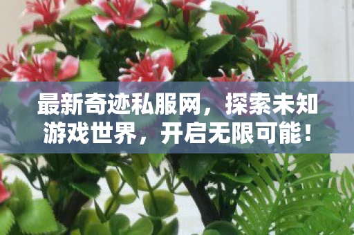 最新奇迹私服网,探索未知游戏世界,开启无限可能! 最新奇迹私服网,探索未知游戏世界,开启无限可能!