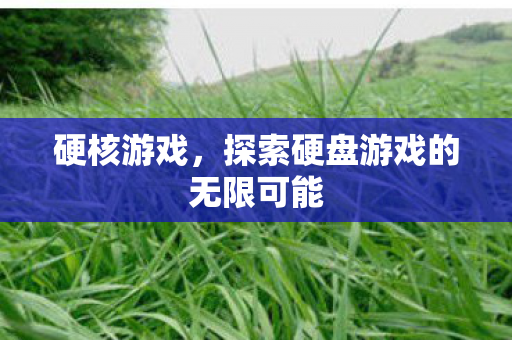 探索硬盘游戏的无限可能图片