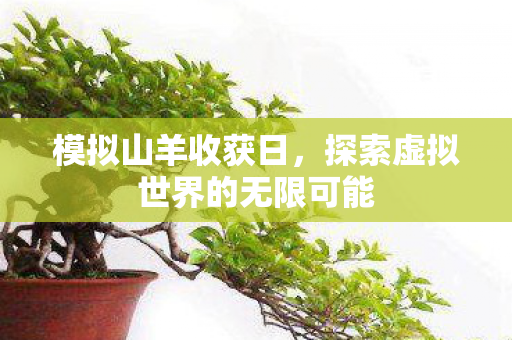 探索虚拟世界的无限可能图片