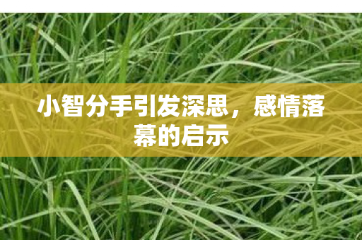 小智分手引发深思,感情落幕的启示 小智分手引发深思,感情落幕的启示