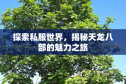 探索私服世界,揭秘天龙八部的魅力之旅 探索私服世界,揭秘天龙八部的魅力之旅
