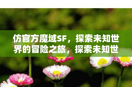 探索未知世界的冒险之旅图片