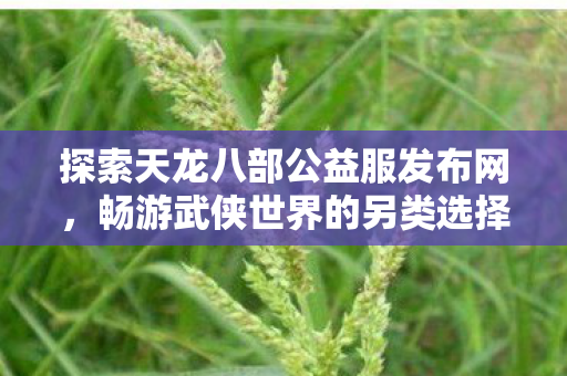 探索天龙八部公益服发布网,畅游武侠世界的另类选择 探索天龙八部公益服发布网,畅游武侠世界的另类选择