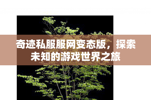 奇迹私服服网变态版,探索未知的游戏世界之旅 奇迹私服服网变态版,探索未知的游戏世界之旅