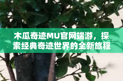 木瓜奇迹MU官网端游,探索经典奇迹世界的全新旅程 木瓜奇迹MU官网端游,探索经典奇迹世界的全新旅程