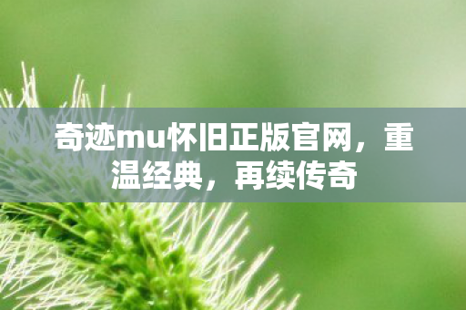 奇迹mu怀旧正版官网,重温经典,再续传奇 奇迹mu怀旧正版官网,重温经典,再续传奇