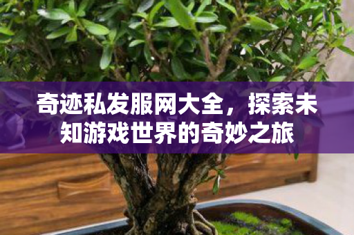 奇迹私发服网大全,探索未知游戏世界的奇妙之旅 奇迹私发服网大全,探索未知游戏世界的奇妙之旅