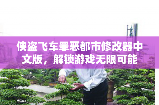 侠盗飞车罪恶都市修改器中文版,解锁游戏无限可能 侠盗飞车罪恶都市修改器中文版,解锁游戏无限可能