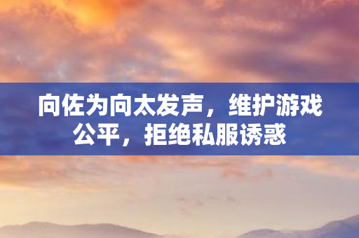 向佐为向太发声,维护游戏公平,拒绝私服诱惑 向佐为向太发声,维护游戏公平,拒绝私服诱惑