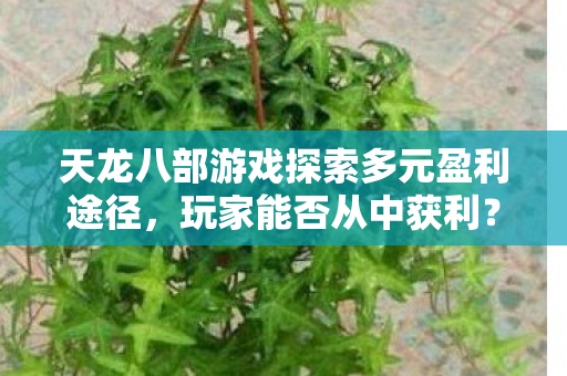 天龙八部游戏探索多元盈利途径，玩家能否从中获利？
