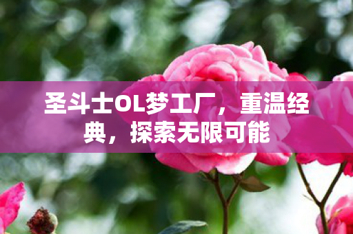 圣斗士OL梦工厂图片